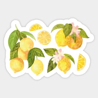 Summer Lemons Cottagecore Sticker